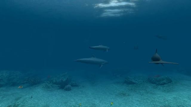 Живые обои для рабочего стола.(Dolphins 3D Screensaver)Live Wallpapers for your desktop. смотреть онлайн