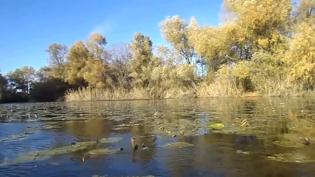 Осетровка смотреть онлайн