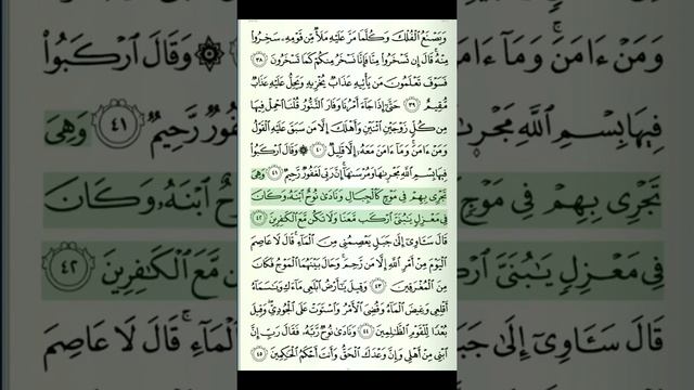 Al-Quran Recitation | Juzu 12 | Page 226 | Surah Surah Hud Verse 38-45 | Qari Yasser ad-Dussary смотреть онлайн