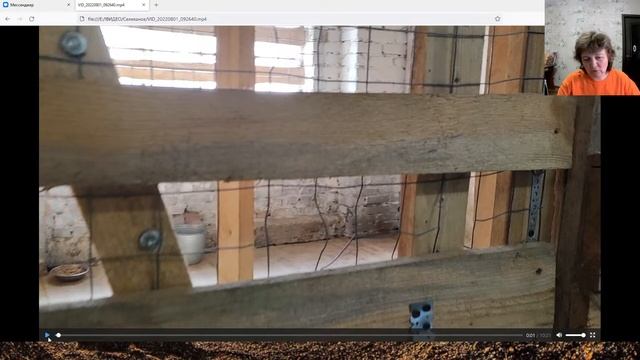 Стрим. Как работает отлов собак "от и до" на примере работы рязанской "Городской собаки". смотреть онлайн