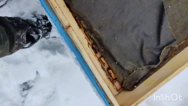 Зимняя подкормка пчел кандием.