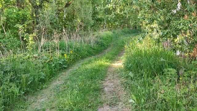 Пруд в Кутузово 2 смотреть онлайн