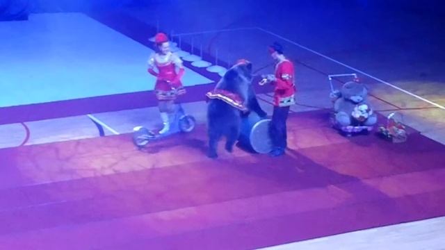 город Противно, Дворец спорта "Импульс". Цирк. смотреть онлайн