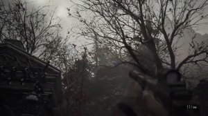 Фото странной птицы сокровища resident evil 8 village