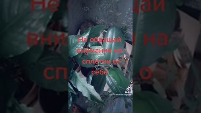 Не обращай внимание на сплетни о себе смотреть онлайн