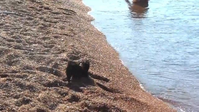 Лучшие пляжи мира Черногория поселок Петровац смотреть онлайн