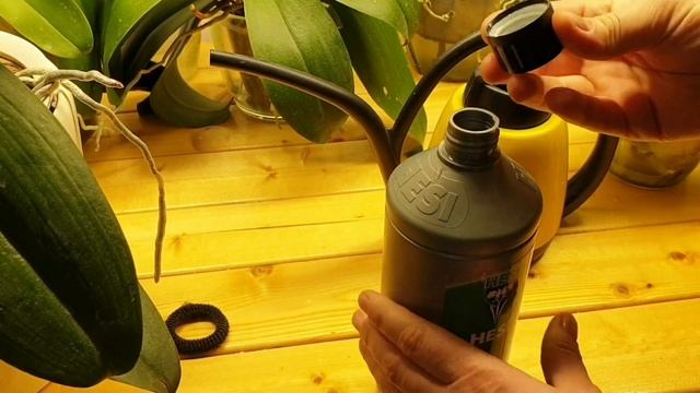 Мои удобрения для ОРХИДЕЙ#Пышное цветение, огромные кусты смотреть онлайн