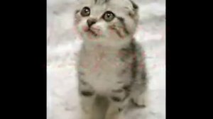 My 13 year old sister's pussy