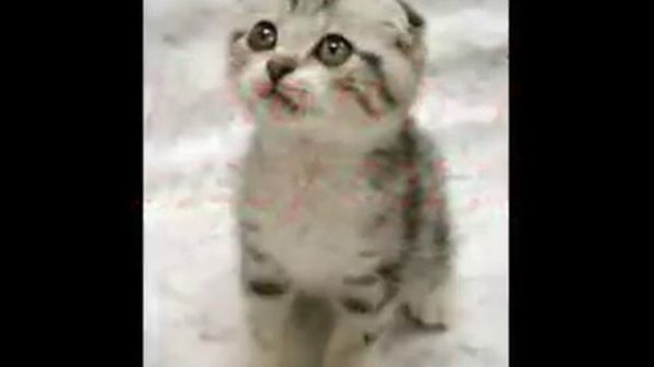 My 13 year old sister's pussy