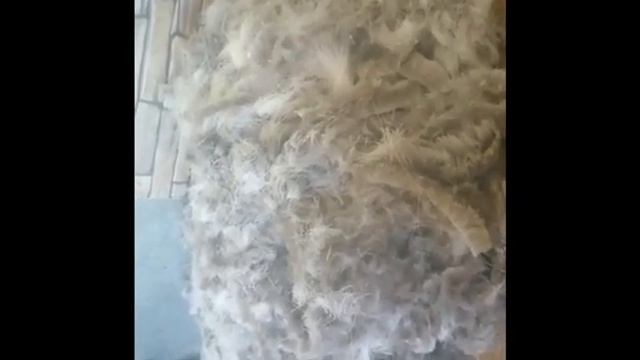 ПРИМЕНЕНИЕ ОЛЕНЬИХ ШКУР. ЧАСТЬ 2