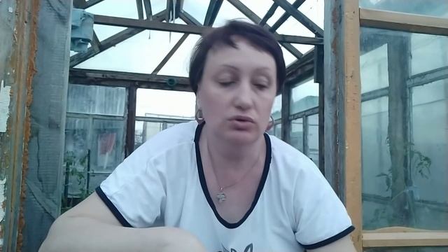 выгодно ли содержать домашнего бройлера? мой опыт смотреть онлайн