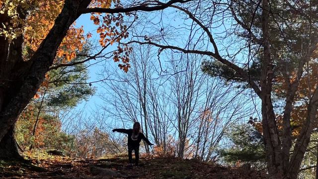 My sisters: arturia polybrute into elektron syntakt смотреть онлайн