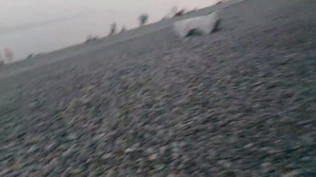 Море Пицунда по всему берегу .девочки кайф смотреть онлайн