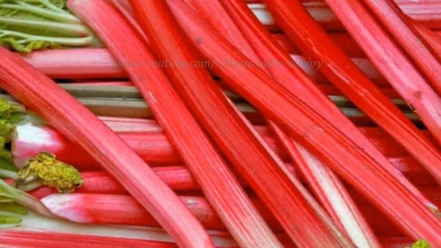 10 полезных продуктов питания. Какие продукты полезны весной. Весенние продукты питания.