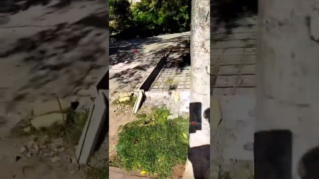 На Мамайке ларьки захватывают набережную реки смотреть онлайн