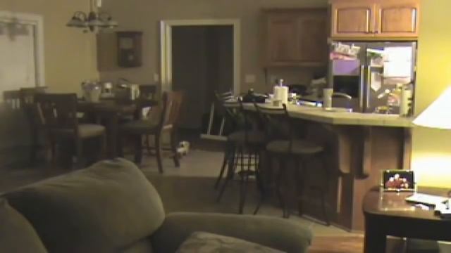 Отпугиватель кошек смотреть онлайн