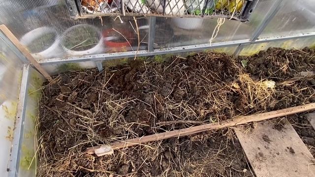 ОГУРЦЫ В МЕШКАХ для раннего урожая/ПОЛЕВАЯ КУХНЯ/ УЖИН ЗА 10 МИНУТ/Переезд на юг/Сад и огород смотреть онлайн