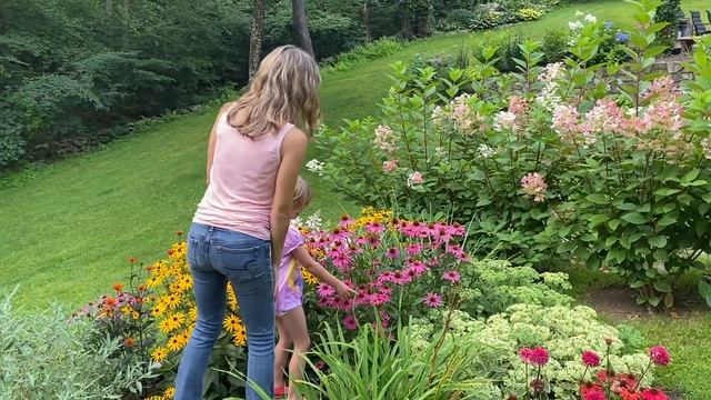 Weekend Butterfly Chasing // Pollinator Garden // Attract More Butterflies смотреть онлайн
