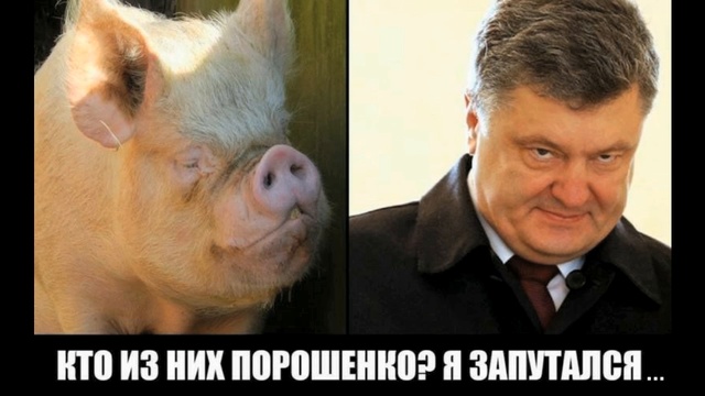 ОВЕЧЬЯ СОТНЯ смотреть онлайн