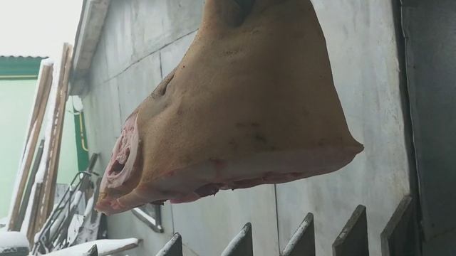 САМАЯ УЛЕТНАЯ ЗИМНЯЯ  КОРМУШКА ДЛЯ  ПТИЦ