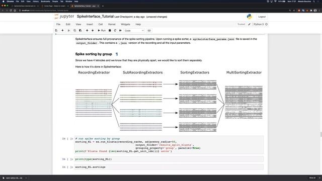 SpikeInterface for building seamless extracellular electrophysiology processing pipelines смотреть онлайн
