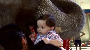 ШАПИТО. Шоу братьев Гертнер. Посторонним вход воспрещен