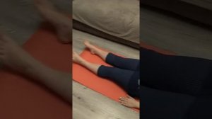 Подушка - валик с наполнителем из гречневой лузги.