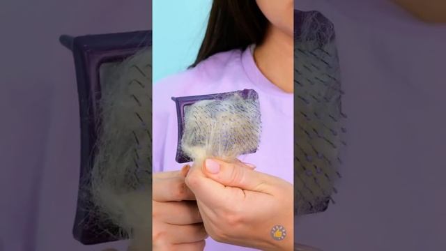 МОЙ ХОЗЯИН ЛУЧШЕ ВСЕХ! | Умные тренировки, лайфхаки и гаджеты для собак смотреть онлайн