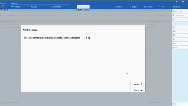 Tally Add On : Consultant Details in Balance Sheet & Profit Loss Report in TallyPrime Software. смотреть онлайн