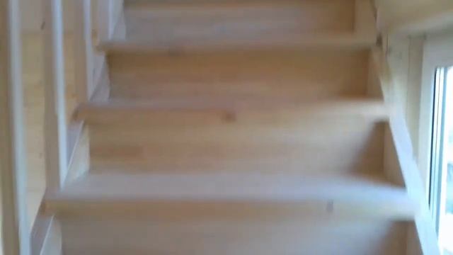 Зодчий Феникс 2К (6х9) смотреть онлайн