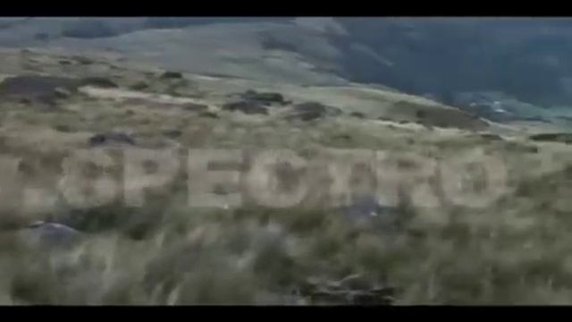 expedición laguna de chinchilla смотреть онлайн
