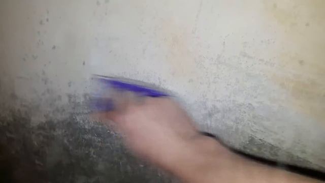 ЛайфХак: Как избавится от плесени. смотреть онлайн