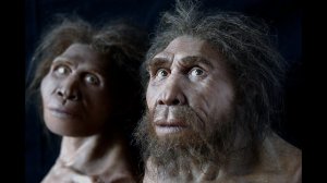 62.5 РАННИЕ ВИДЫ ПЕРВОБЫТНОГО ЧЕЛОВЕКА. ПЕРВЫЕ ЛЮДИ