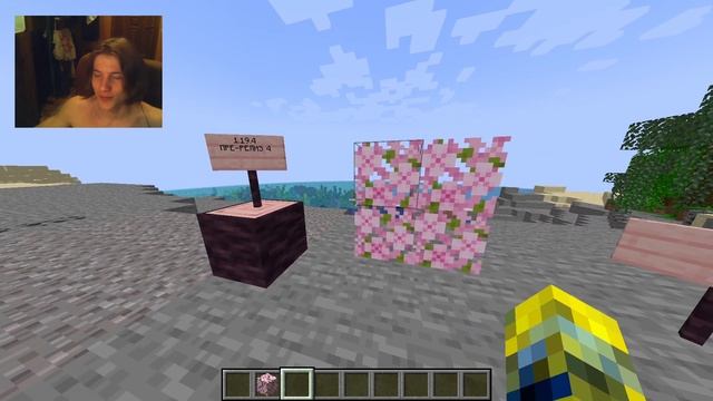 3 НОВЫЕ КНОПКИ | Обзор 3 Pre-Release 1.19.4 смотреть онлайн