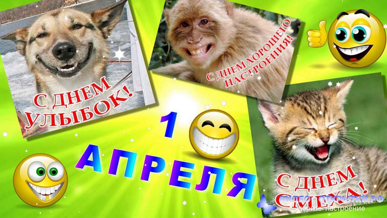 С днем смеха смотреть онлайн