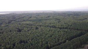 Солёное, целебное озеро Чебакуль, Кунашакский район,Челябинская область.