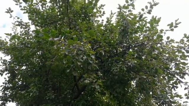 макушка 20го лета или как Жэка ДР отметил смотреть онлайн