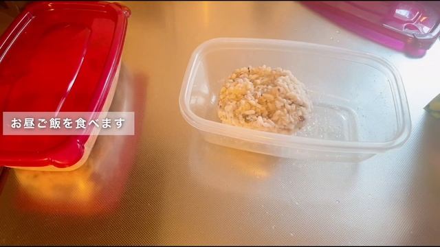 【What I Eat in a Day】高タンパク低脂質な食事でダイエットする30代OLの1日の食事｜在宅ワーク｜食事vlog｜自炊 смотреть онлайн