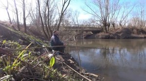 Как ловить весной УКЛЕЙКУ вёдрами советы начинающим