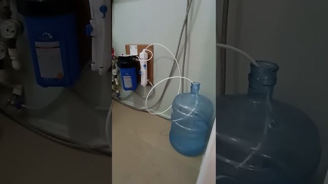 Делаю оранжерею из одно комнатной квартиры. смотреть онлайн