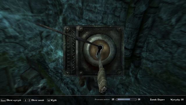 Zagrajmy W | The Elder Scrolls V: Skyrim PL 🇵🇱 - Palenie.... Chrustu.... Śluby.... #18