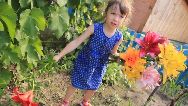 Букет из лилий.Июль 2018 смотреть онлайн