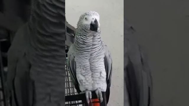 учит маму как надо говорить... смотреть онлайн