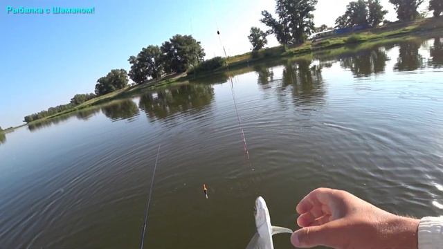 Болхуны (Ахтуба, август 2021) Нестандартный метод ловли чехони. смотреть онлайн