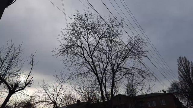 Скворцы прилетели! Синички запели! Скоро весна! смотреть онлайн