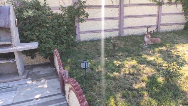 Славянск. 20 июля 2022 года. Спокойное утро. смотреть онлайн