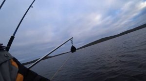 Рыбалка в КАРЕЛИИ на ПЯОЗЕРЕ!!! КУМЖА АТАКУЕТ!