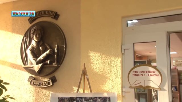 Инклюзия. Библиотека без барьеров и границ смотреть онлайн