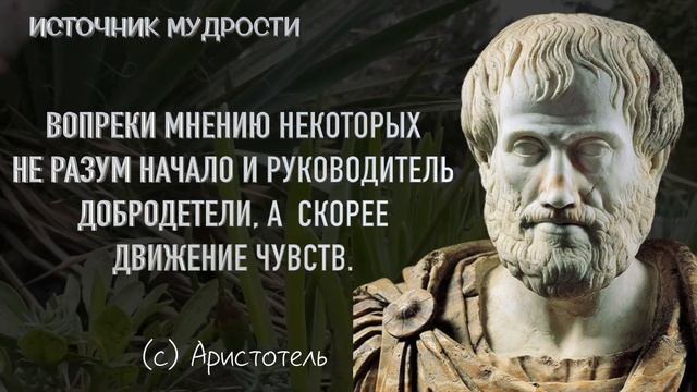 Аристотель. Мудрые жизненные цитаты с которыми не поспоришь смотреть онлайн