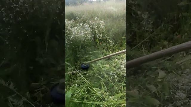 Работа лески бензокосы замедленно / The work of the lawn mowing line is slow смотреть онлайн